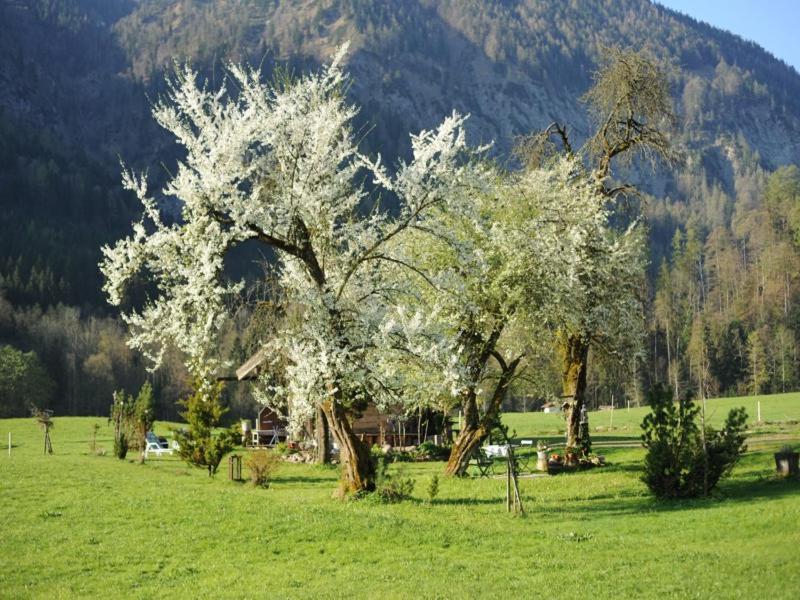 Hansenbauernhof Inkl. Chiemgaukarte Ruhpolding Eksteriør bilde